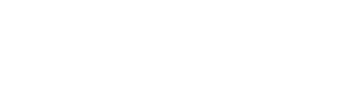 Blue Blocks White logo